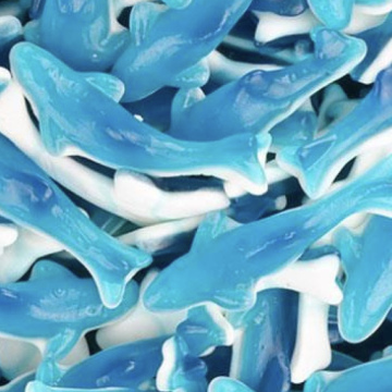 Dauphins géants(5unité)