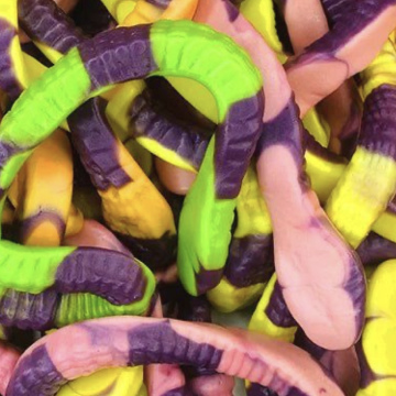 Anacondas géants(3unité)