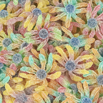 Pieuvre acidulée(100G)