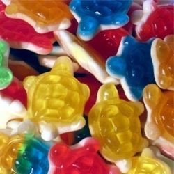 Tortues lisses(100G)